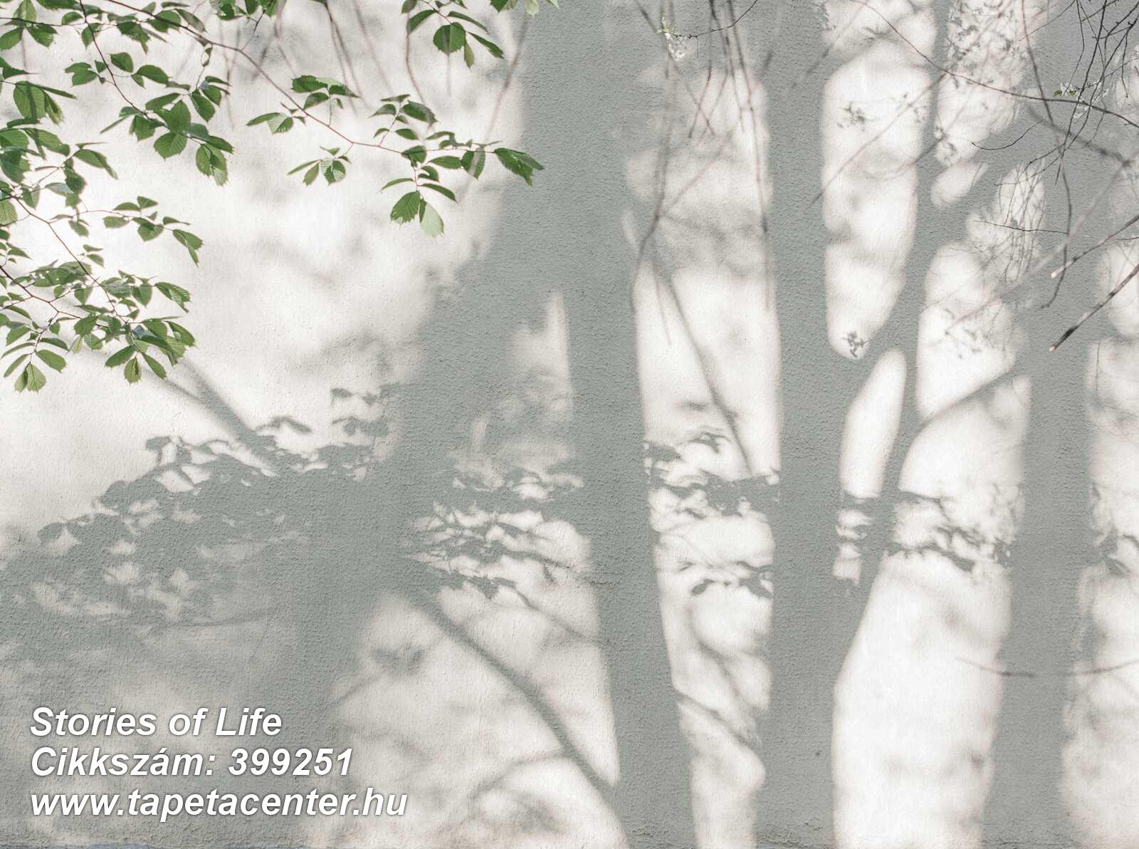 Szürke,zöld,lemosható,vlies poszter, fotótapéta 
